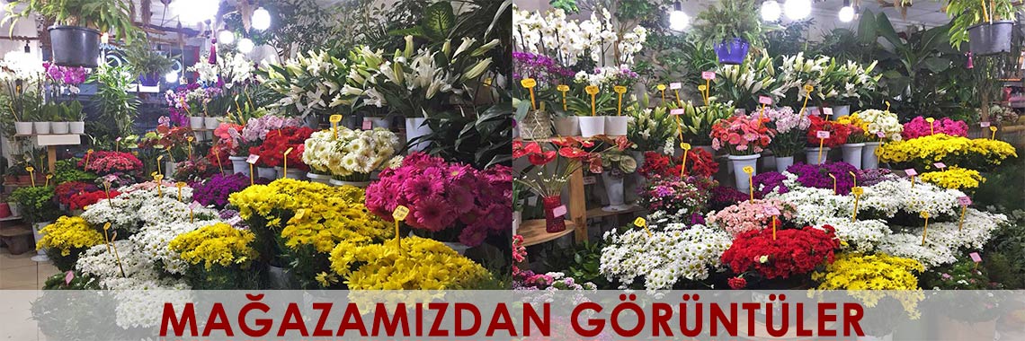 Mağazamızdan Görüntüler