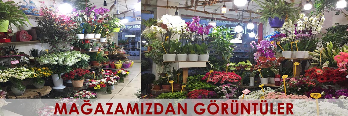 Mağazamızdan Görüntüler