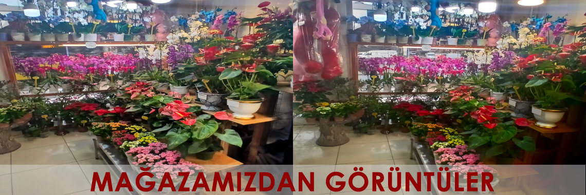 Mağazamızdan Görüntüler