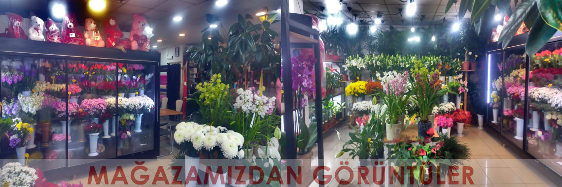 Mağazamızdan Görüntüler