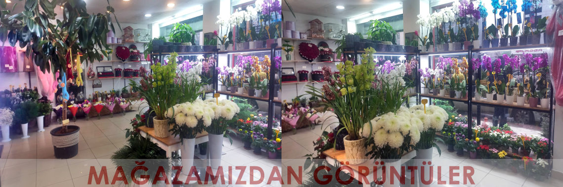 Mağazamızdan Görüntüler