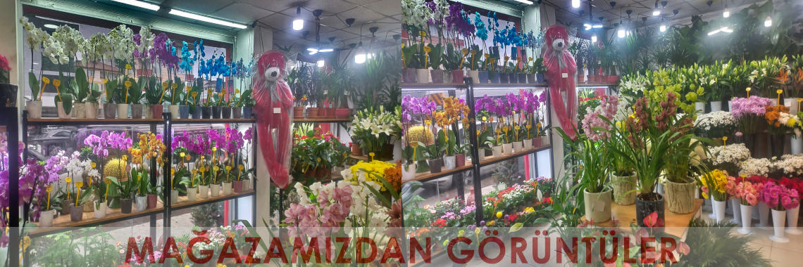 Mağazamızdan Görüntüler