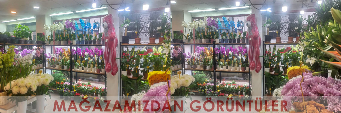 Mağazamızdan Görüntüler