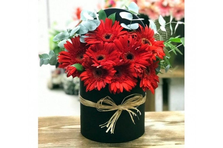 Kutuda Kırmızı Gerbera