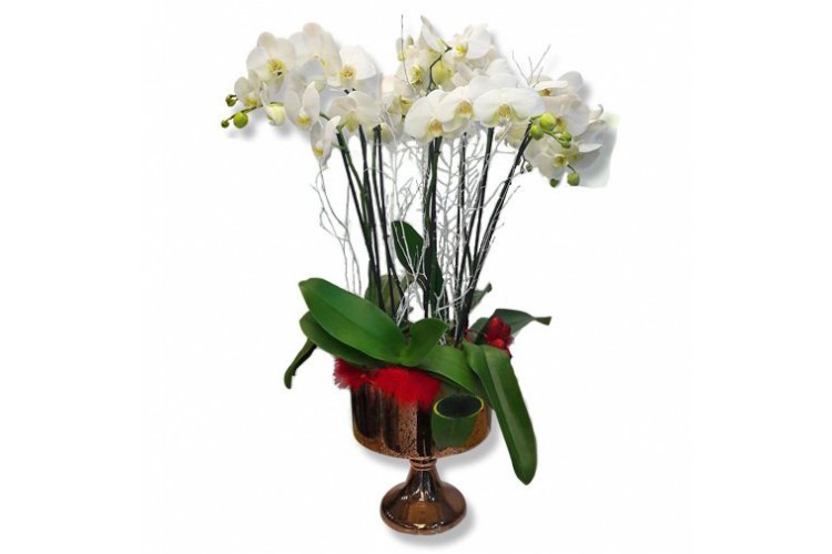 Vazoda Beyaz Orkide Aranjman