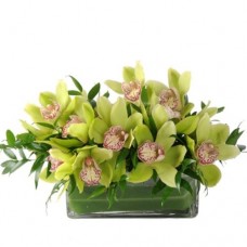 Cam Vazoda Cymbidium Orkide