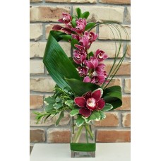 Cymbidium Orkide Aranjman