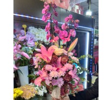 Orkideli Aranjman - 017