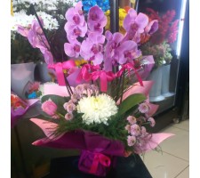 4 Dal Orkide Aranjman - 018