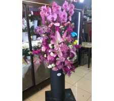 Orkide Aranjman - 019