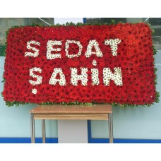 İsimli Büyük Pano - 003 İsimli Büyük Pano - 003